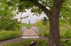 Homindays Terrace with Mountain Views River just Nearby - Foto 12