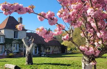 Country house for animals and nature lovers - Photo 1