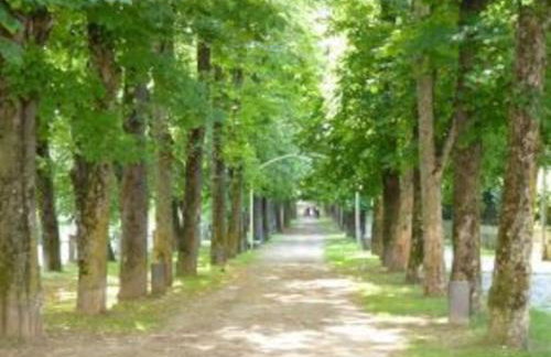 Apartament al cor de la Vall de Camprodon - Foto 17