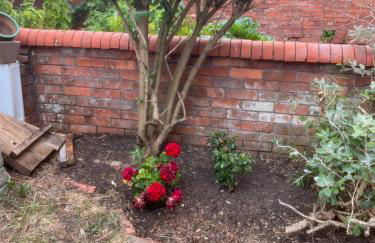 Charming cottage in Wells with easy parking - Foto 30