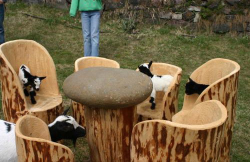 Tomasoethof - Foto 16