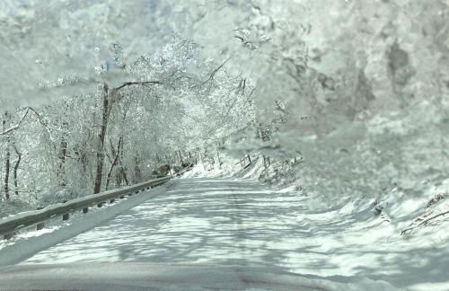 Lakefront with Hot Tub/Sauna-Beaver Lake,Arkansas - Foto 27