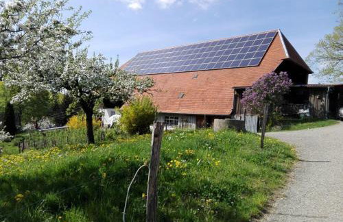 Ferienwohnung-Stadtblick - Foto 5
