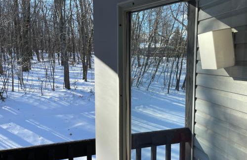 2 Bedroom 2 Bathroom - Blue Knob All Season Resort Condo - Foto 20