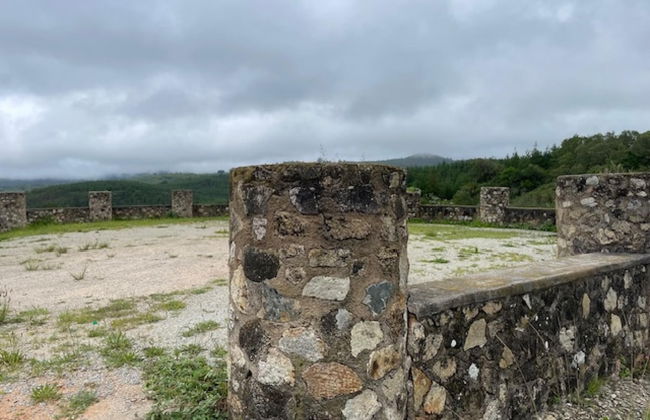 Lake Alexander Country Resort - Foto 18