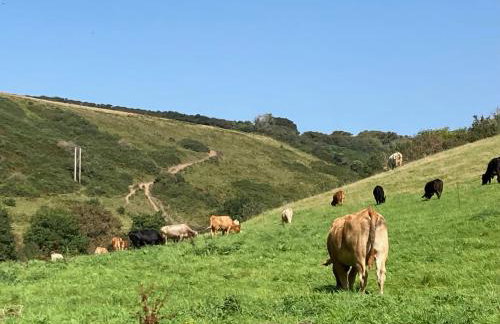 4 Cumberland Cottages - Foto 32