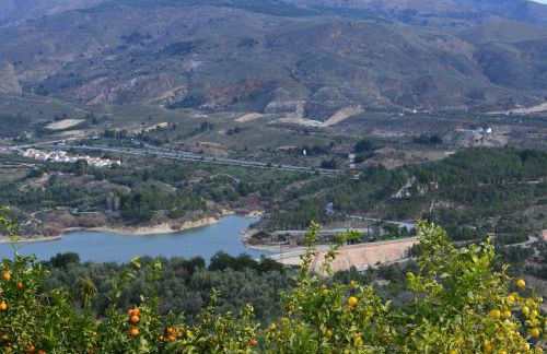 EncinaGorda - Foto 4