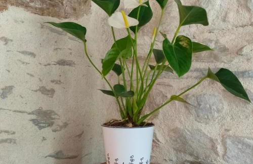 Gite de charme à Guipry Messac - Foto 5