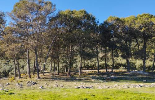 La Ruteña - Foto 28