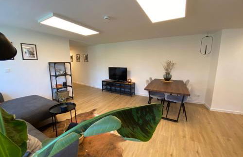 ☆FEWO ALTES KINO - MODERN - QUIET - 65M² - TV - NETFLIX - WLAN☆ - Foto 7