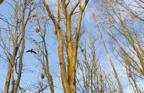 Ferienwohnung Blaue Sonne Devin - Foto 21