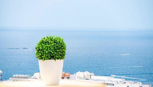 Windsor Panoramic Las Americas - Foto 4