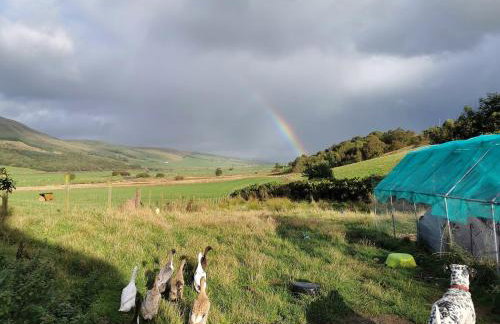 Glen Bay - 2 Bed Lodge on Friendly Farm Stay with Private Hot Tub - Foto 56