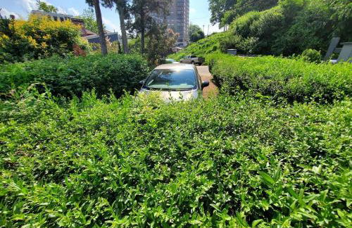 Luxe Mt Adams Lookout - Foto 73