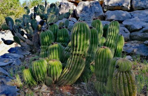 Vacation house Punta sunca - Foto 39