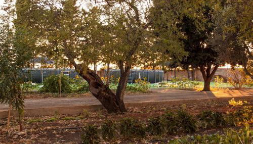 Appartamento in masseria a Porto Cesareo - Foto 5