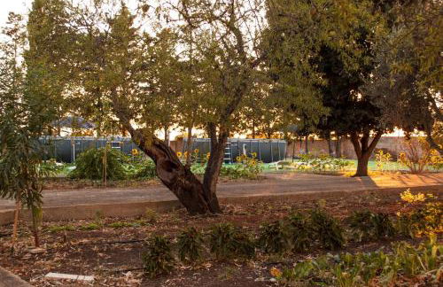 Appartamento in masseria a Porto Cesareo - Foto 5