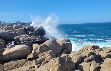 Goarges Tiny Home! - Foto 21