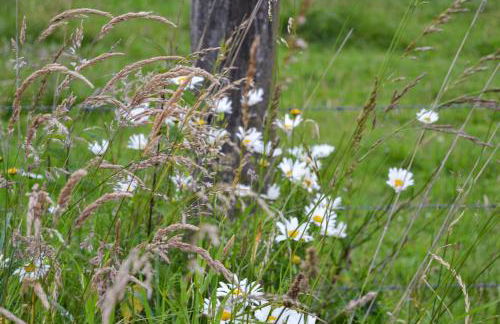 Zum Windfeld - Foto 34