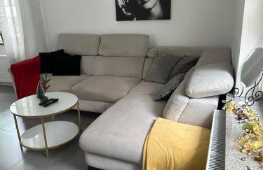 Mr. Sowa Sokolec - Foto 2