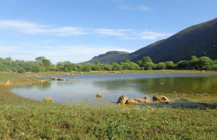 Retiro do Bosque Country House - Foto 43