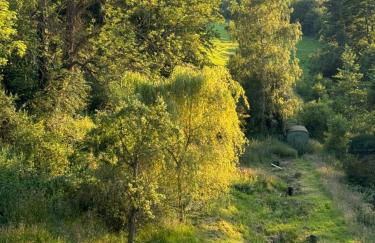 Ferienwohnung Burg Hausen - Foto 3