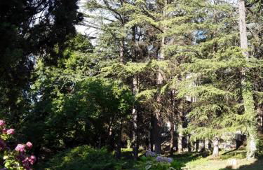 Gîte du vigneron à La Terrasse piscine local vélos - Photo 19