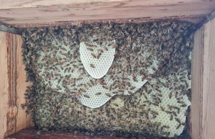 Blockhaus an der Dahme , Ferienhaus - Foto 40