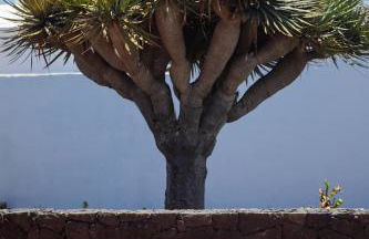 Casa Lola Lanzarote piscina climatizada y wifi free - Foto 38