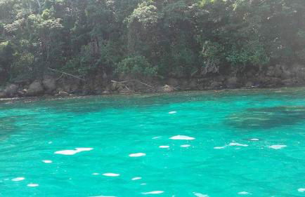 Casa com Praia no quintal - Foto 15