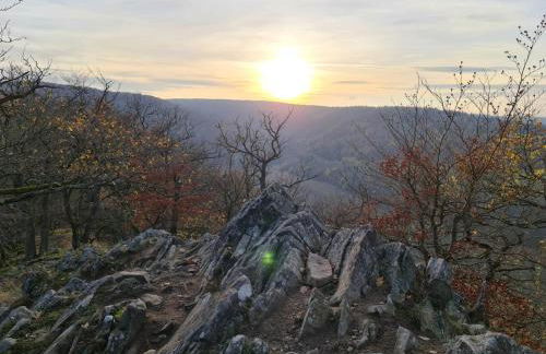 Ferienhaus Schöne Aussicht Ferienwohnung Gelb - Foto 20