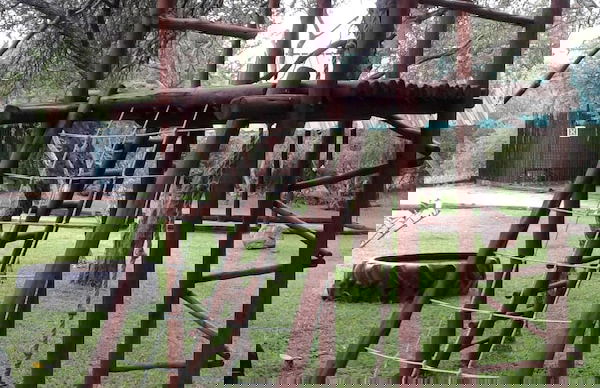 Blyde River Cabin Guesthouse - Foto 28