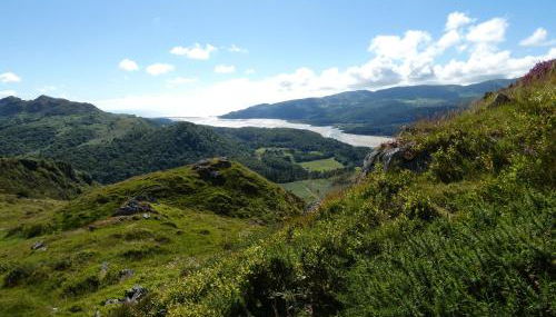 Abergwynant Farm Glamping & Apartments - Foto 1