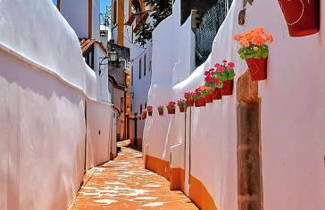 Refúgio de Velada - Nisa - Foto 32