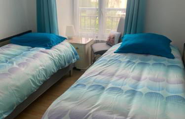 Les papillons - Foto 7