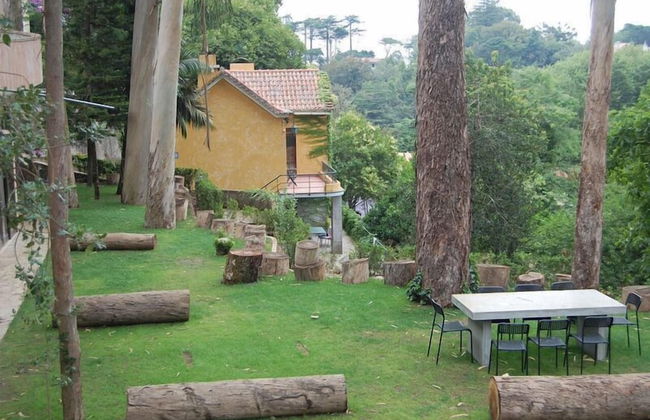 Quinta do Castanheiro - Foto 36