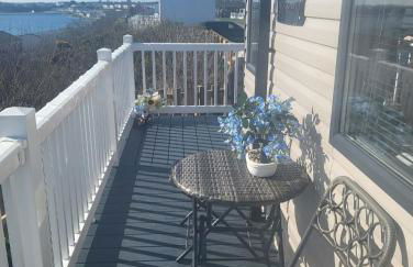 The Bluebell - Foto 1