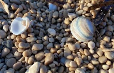 Villa Playa de Turmalina - Denia El Verger - Foto 52