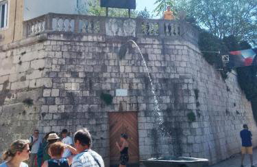 Garden in the center - Photo 27