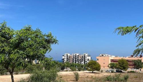 Mil palmeras Beach - Foto 4