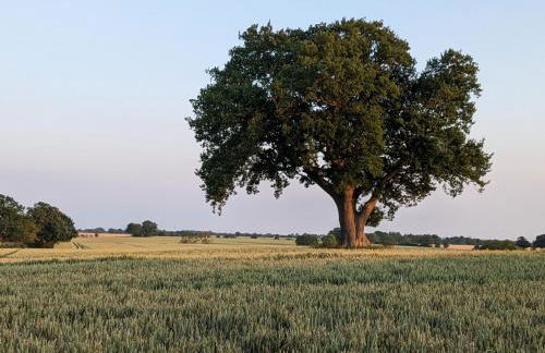 Taubennest - Foto 28