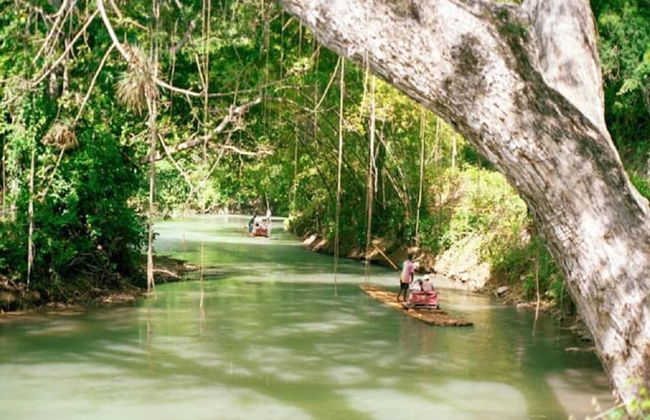 Court Manor at Montego Bay Club - Foto 52