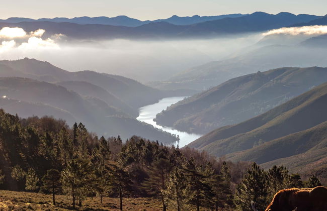 Escursione al Parco di Peneda-Gerês - Foto 3