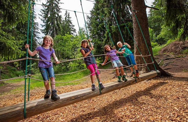 Stachelbeere OG - Foto 11