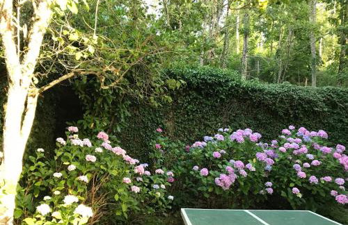 Villino Serena Di Lapigio Firenze - Foto 12