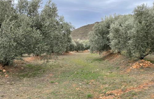 Casa Rural Los Caleros - Foto 18