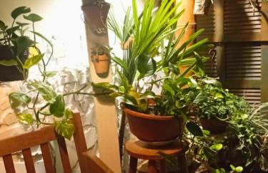 Aurea Flats - Foto 24