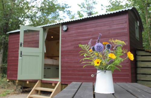Cosy Shepherd's Hut with Hot Tub - Foto 1