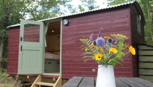 Cosy Shepherd's Hut with Hot Tub - Foto 1