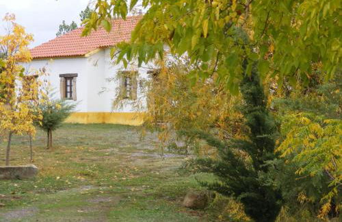 Quinta dos Trevos - Artes e Ofícios - Foto 27